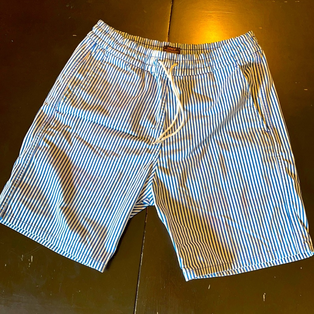 Levi’s Shorts Blue/White Skateboarding Collection